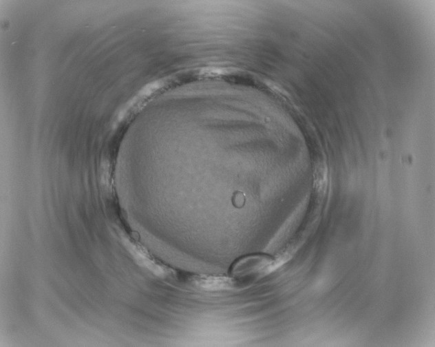 X0000052630670200507221751