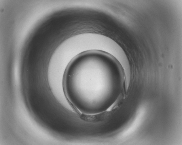 X0000052630671200507221751