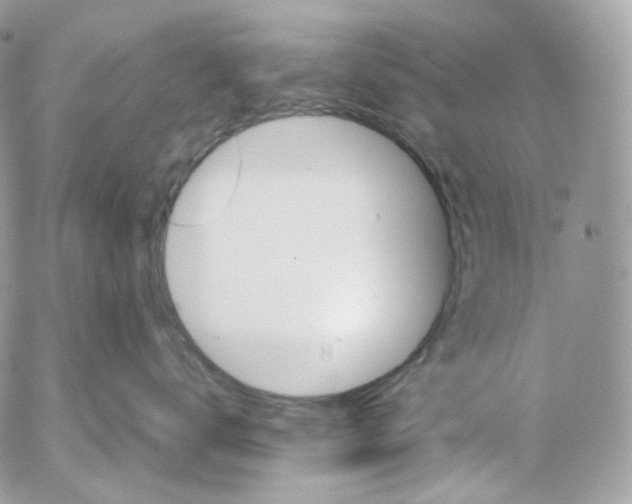 X0000052630672200507221751