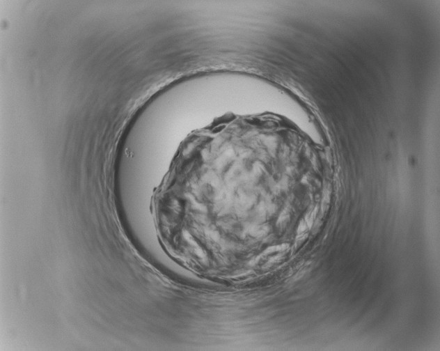 X0000052630673200507221751