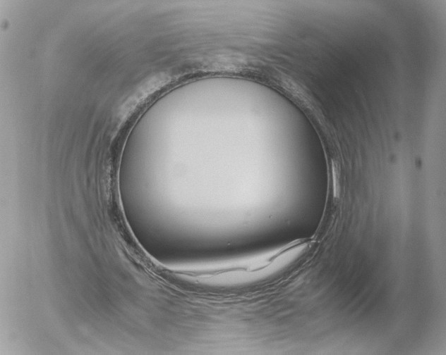 X0000052630675200507221751