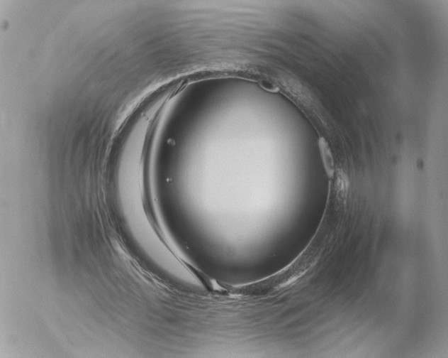 X0000052630676200507221751