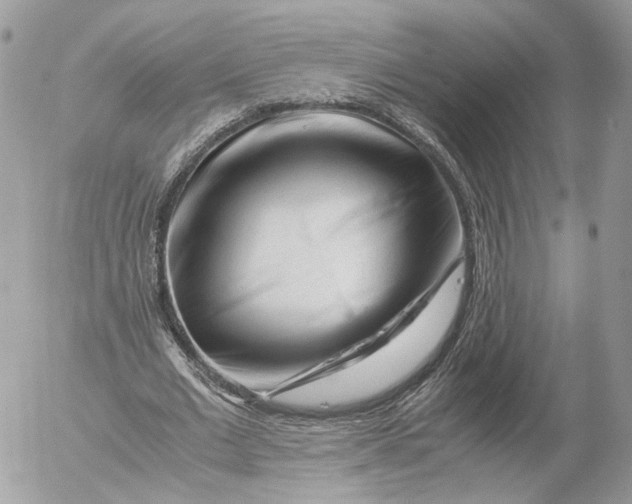 X0000052630677200507221751