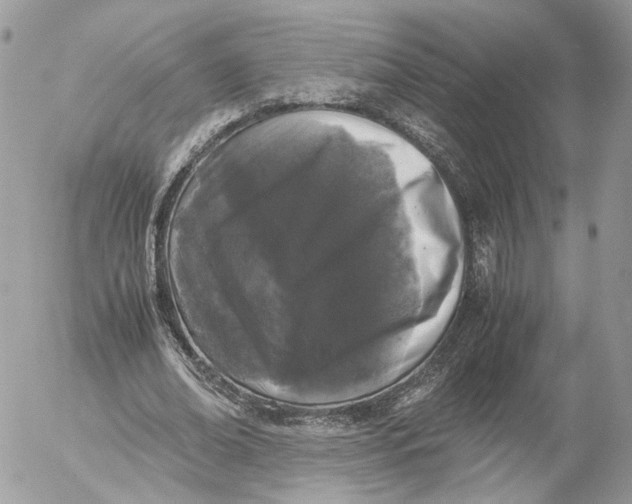 X0000052630678200507221750