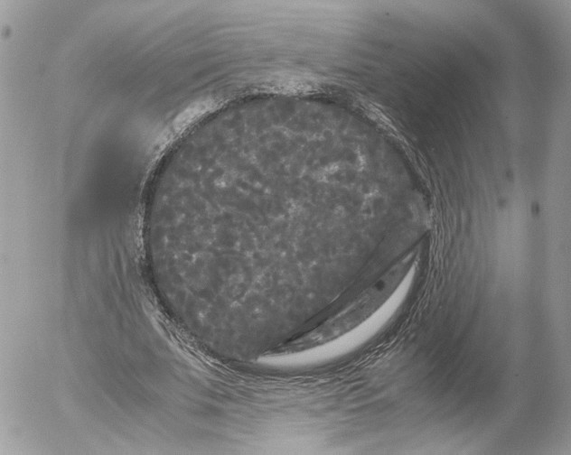 X0000052630679200507221750