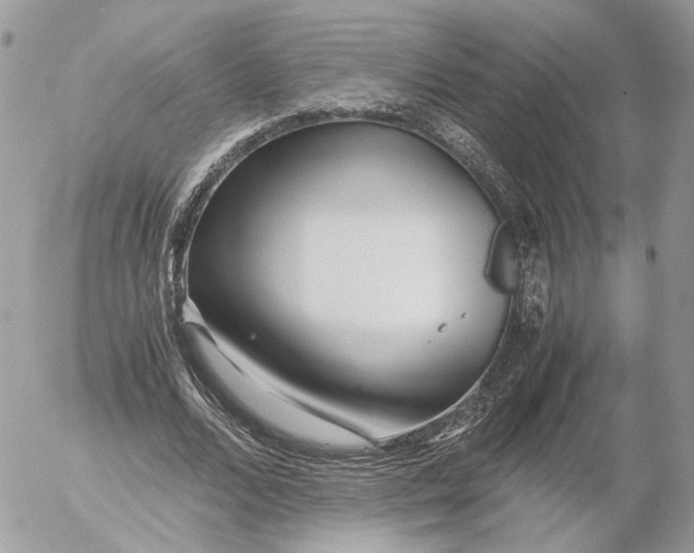 X0000052630680200507221750