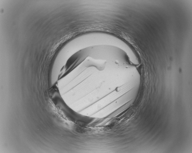 X0000052630681200507221750