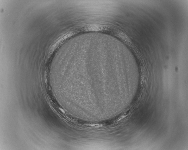 X0000052630683200507221750