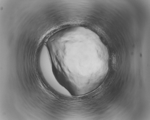 X0000052630684200507221750