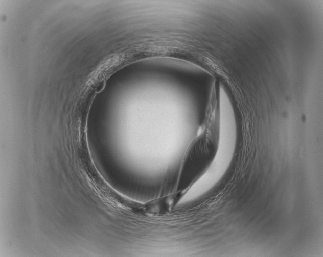 X0000052630685200507221750