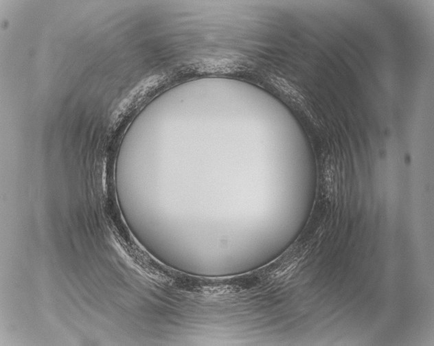 X0000052630686200507221750