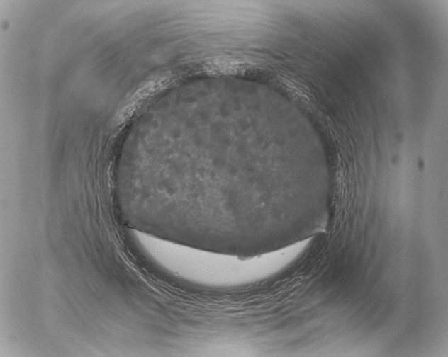 X0000052630687200507221750