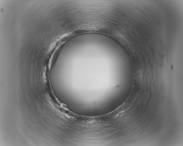 X0000052630688200507221750