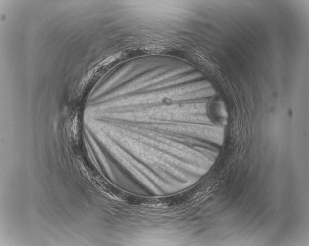 X0000052630689200507221750