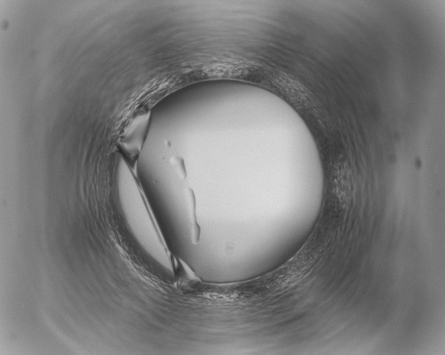 X0000052630690200507221750