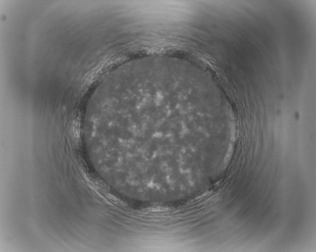 X0000052630691200507221750