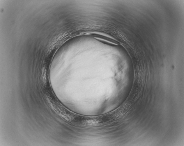 X0000052630692200507221750