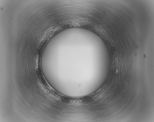 X0000052630694200507221750