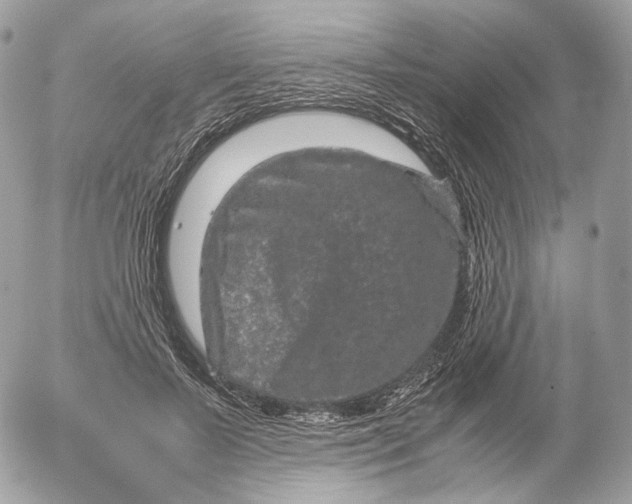 X0000052630695200507221750