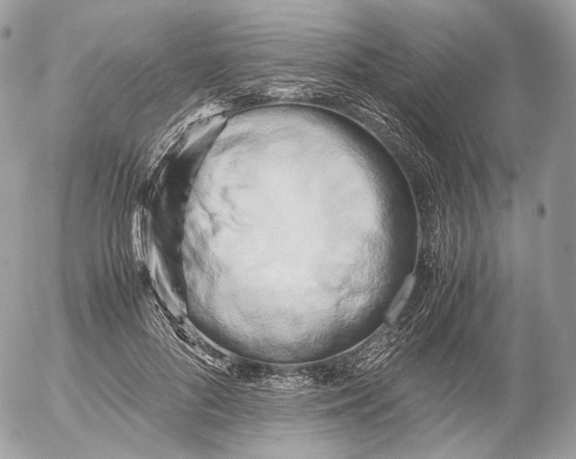 X0000052630696200507221750