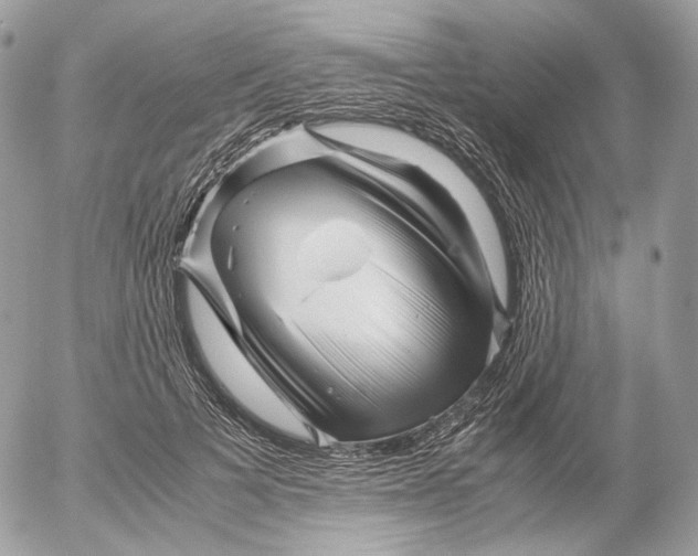 X0000052630697200507221750