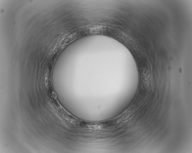 X0000052630698200507221750