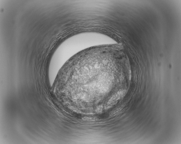 X0000052630699200507221750