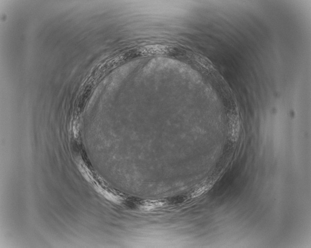 X0000052630701200507221750