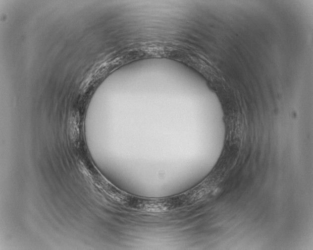 X0000052630702200507221750