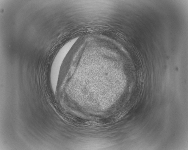 X0000052630703200507221750