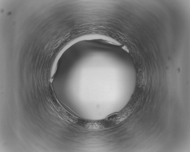 X0000052630704200507221750