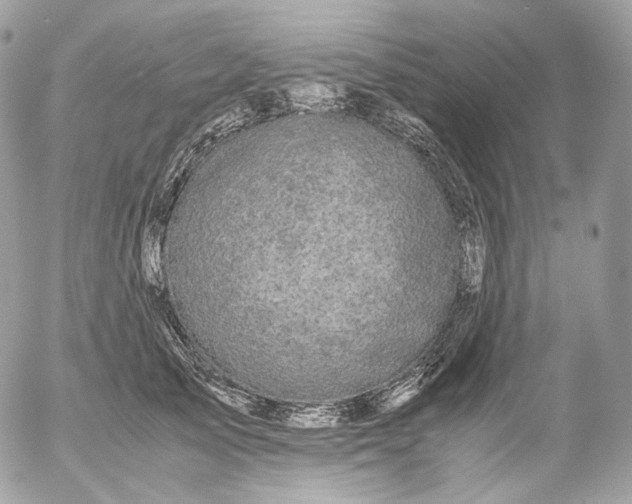 X0000052630705200507221750