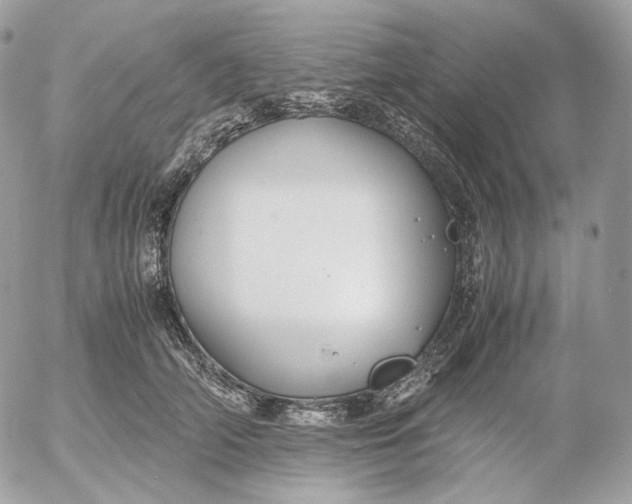 X0000052630706200507221750