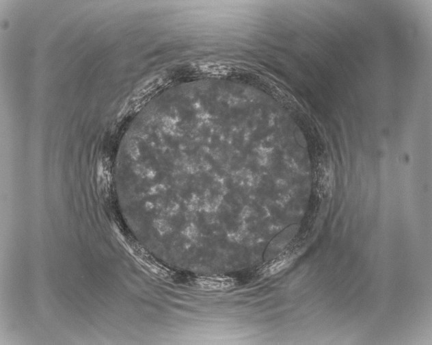 X0000052630707200507221750