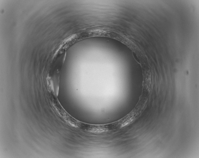 X0000052630708200507221750