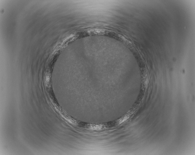 X0000052630709200507221750