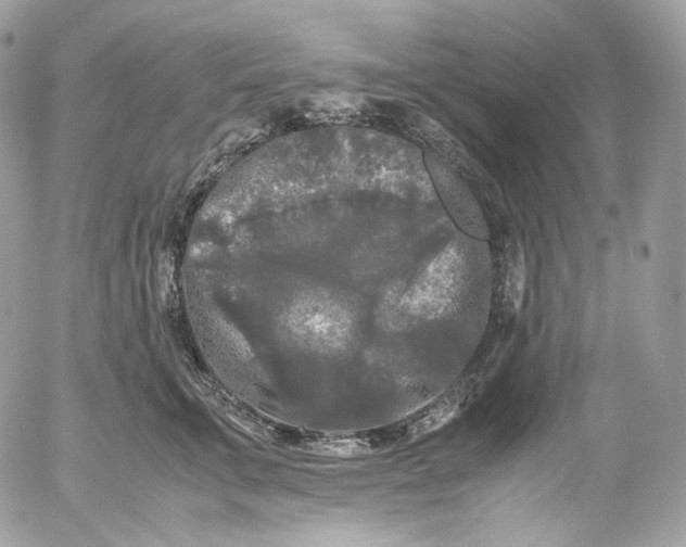 X0000052630711200507221750