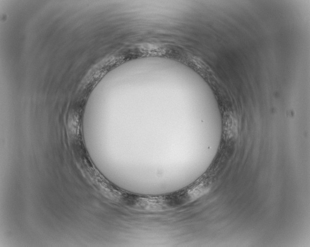 X0000052630713200507221750