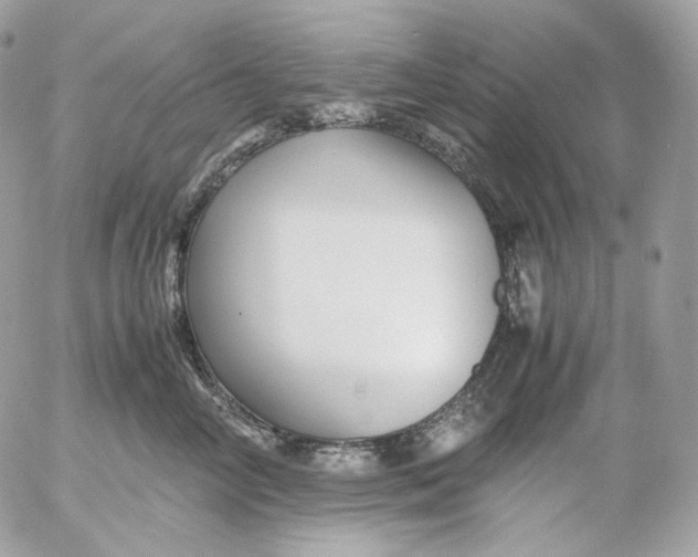 X0000052630714200507221750