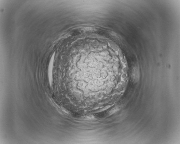 X0000052630715200507221750