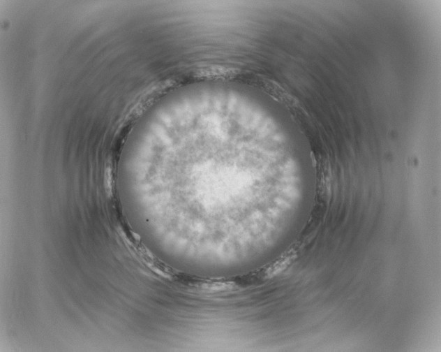 X0000052630716200507221750