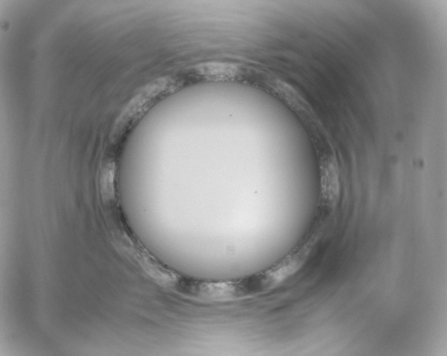 X0000052630717200507221750