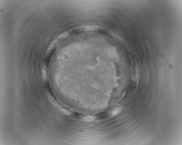 X0000052630718200507221750