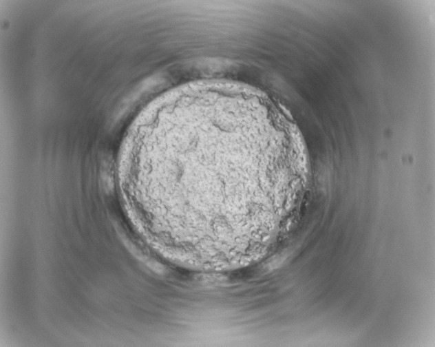 X0000052630719200507221750