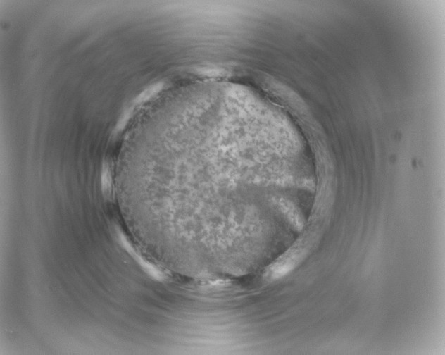 X0000052630720200507221750