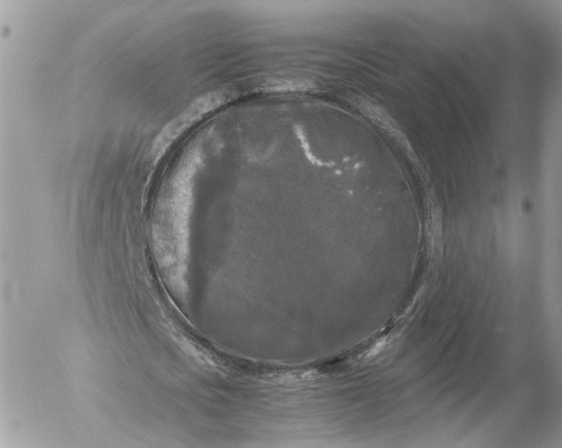 X0000052630721200507221749