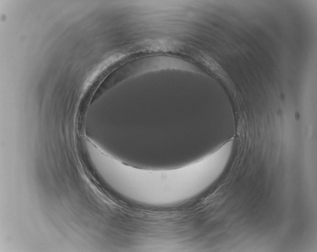 X0000052630722200507221749