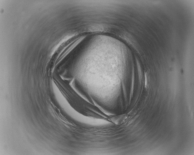 X0000052630723200507221749