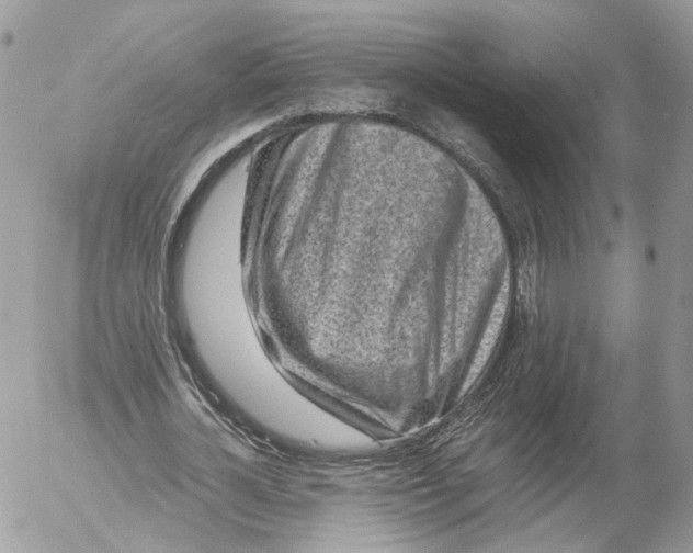 X0000052630724200507221749