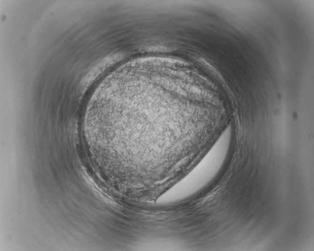 X0000052630725200507221749